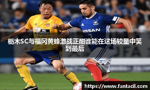 乐发IV官网